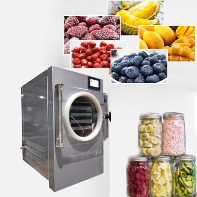 Chine Vide Mini Freeze Dryer For Home fournisseur