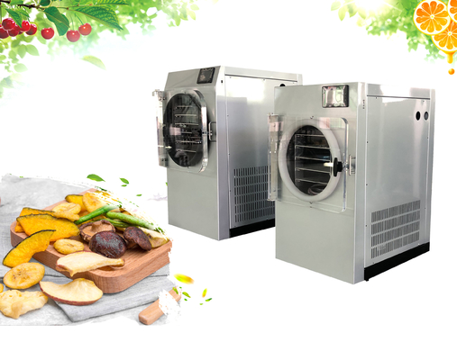 Chine Machine électrique de lyophilisation de fruit de chauffage de gel de piège froid de machine à la maison de dessiccateur fournisseur