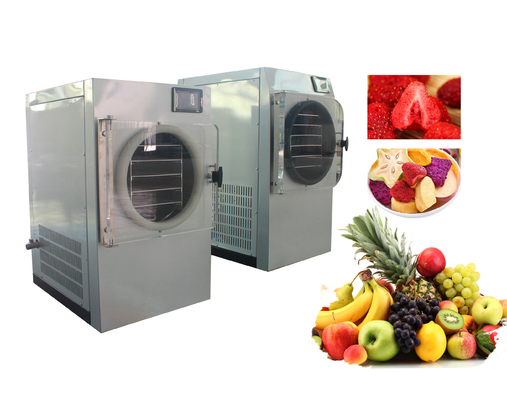 Chine 240V léger Mini Freeze Dryer Machine TFD0.4 pour des légumes fruits fournisseur