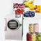 Chauffage électrique de machine de Mini Food Food Freeze Drying fournisseur