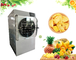 Chauffage électrique de machine de Mini Food Food Freeze Drying fournisseur